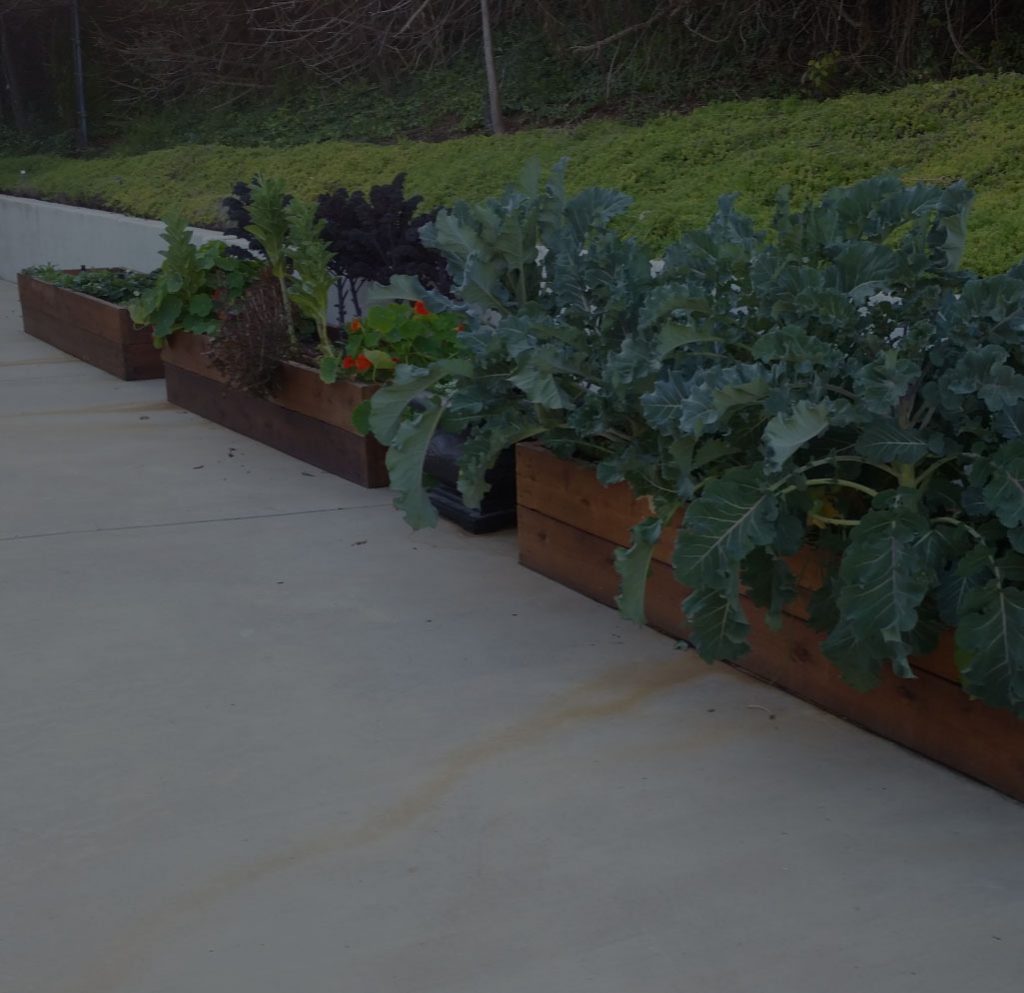 nursing home san diego